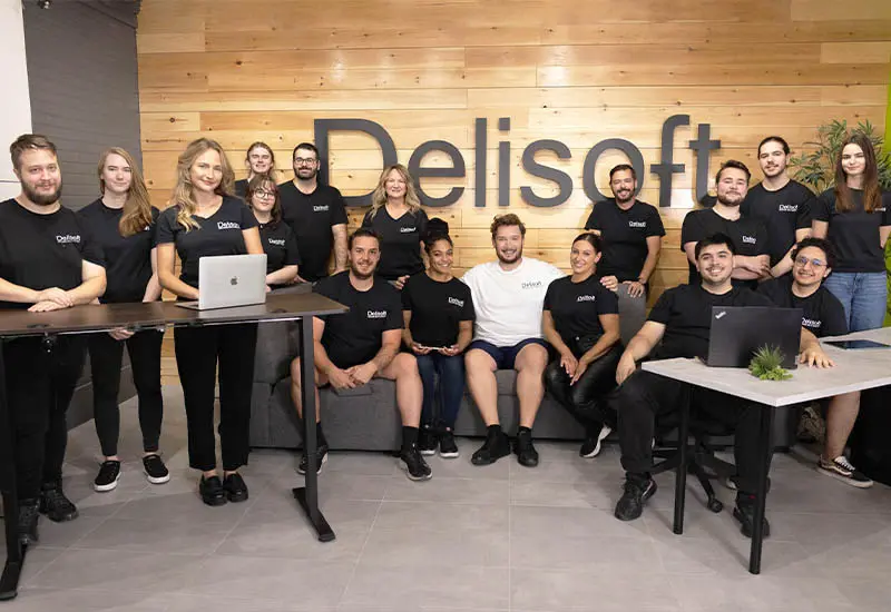Conception site web Delisoft
