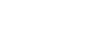 Logo Delisoft