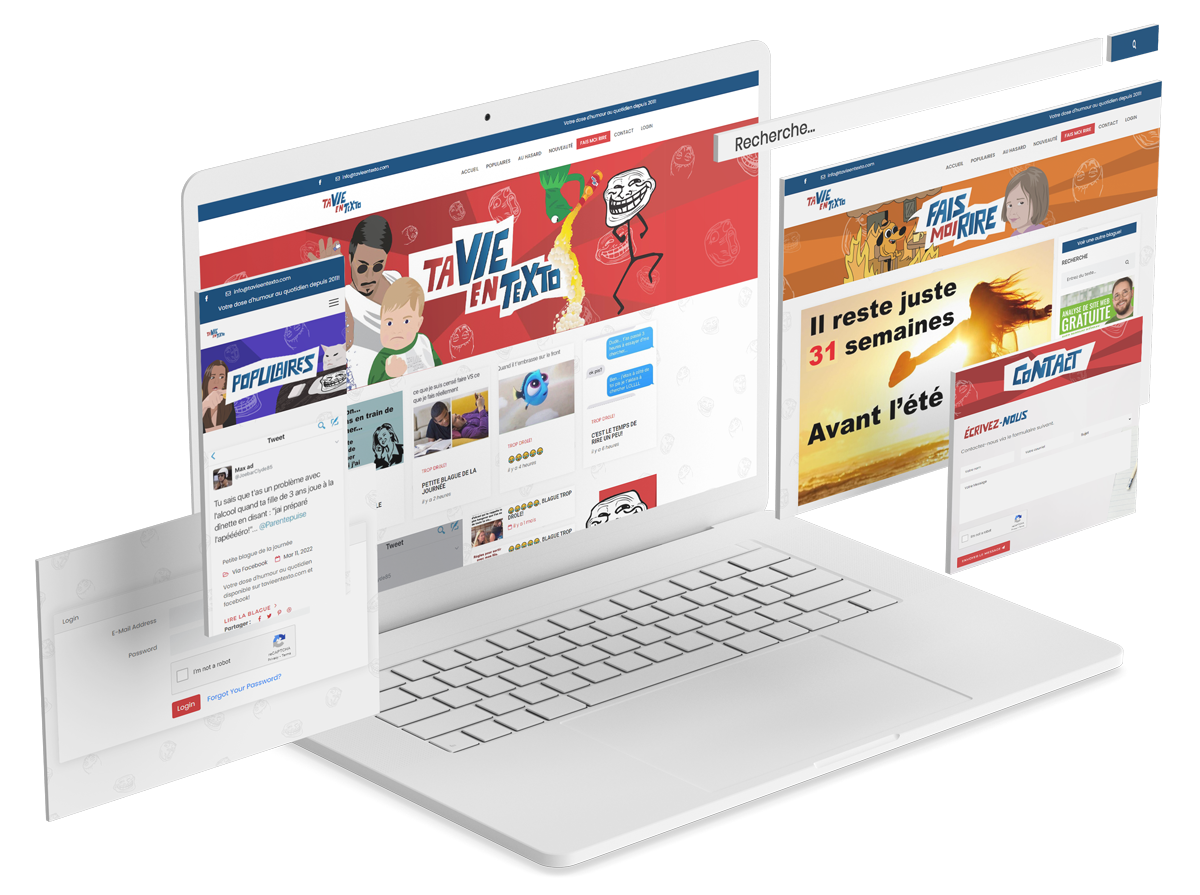 Conception Site Web Delson