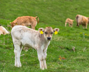 Conception web agriculture explication