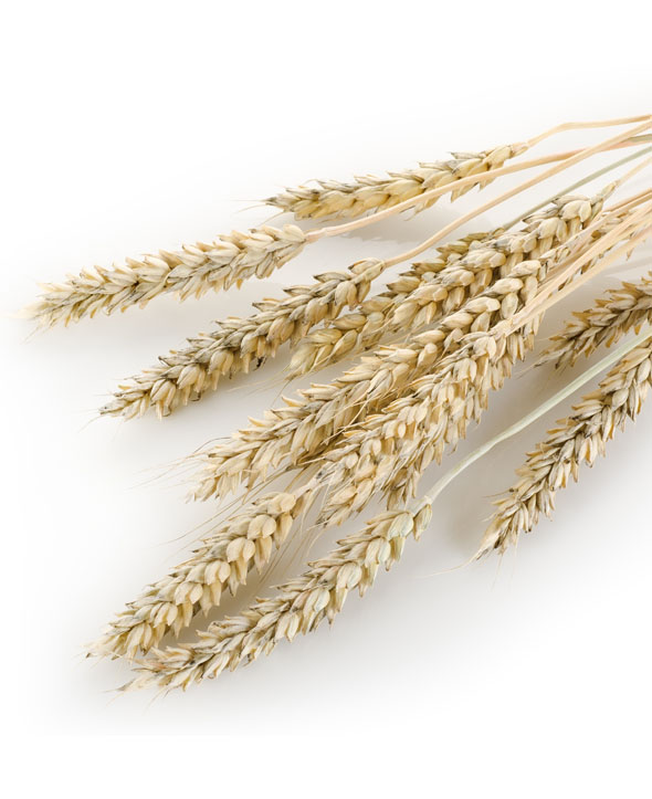 Conception web ferme positionnement
