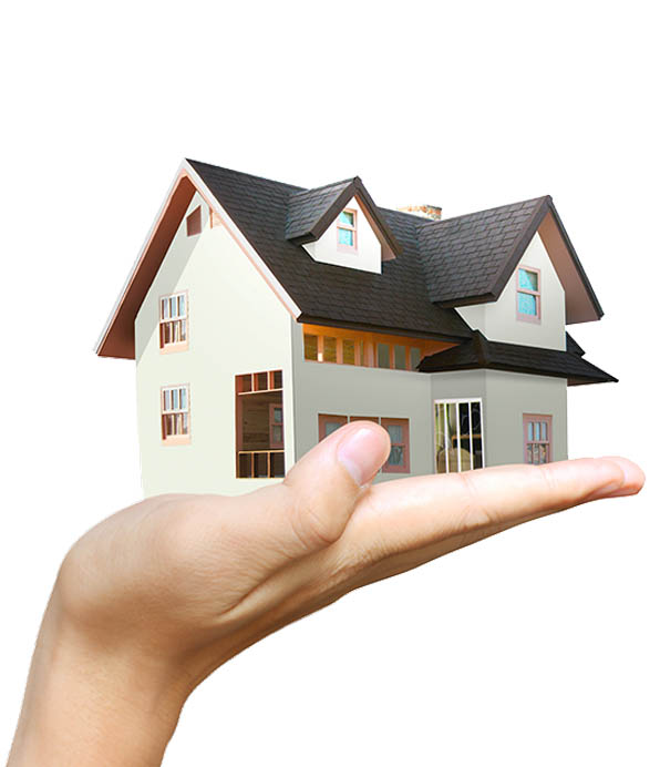 Conception web immobilier positionnement