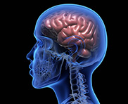 Conception web psychologue introduction